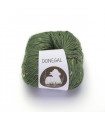 Donegal